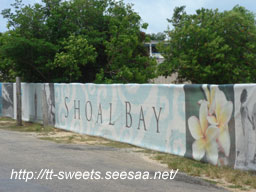 Anguilla12.jpg