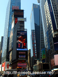 NewYork04.jpg