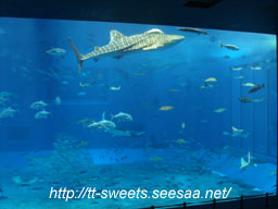 Okinawa10.jpg