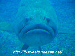 Okinawa25.jpg