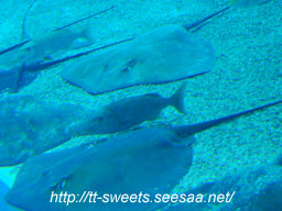 Okinawa26.jpg