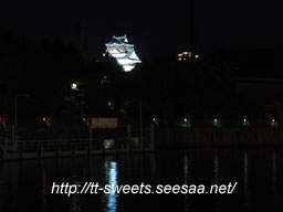 Osakajo01.jpg