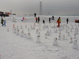 SnowFestival14.jpg